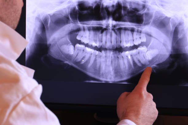 Best Emergency X-Rays and Diagnostics in Loogootee, IN